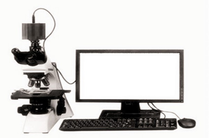 Rise-3001M型纖維圖像分析儀